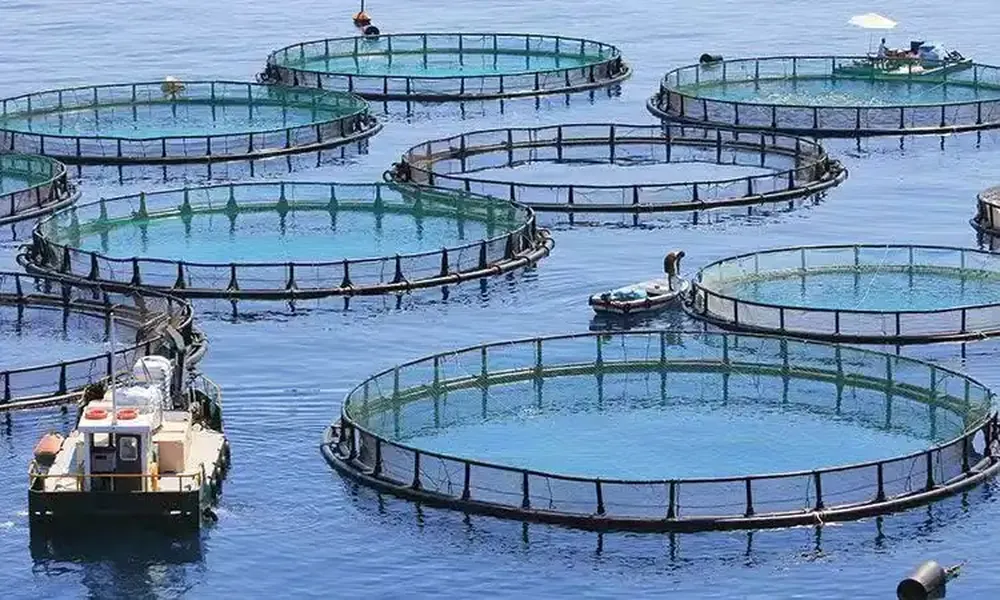 In marine aquaculture, is installation difficult, maintenance difficult, and expansion even more difficult