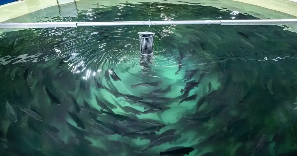 How to Increase Production Without Adding More Labor