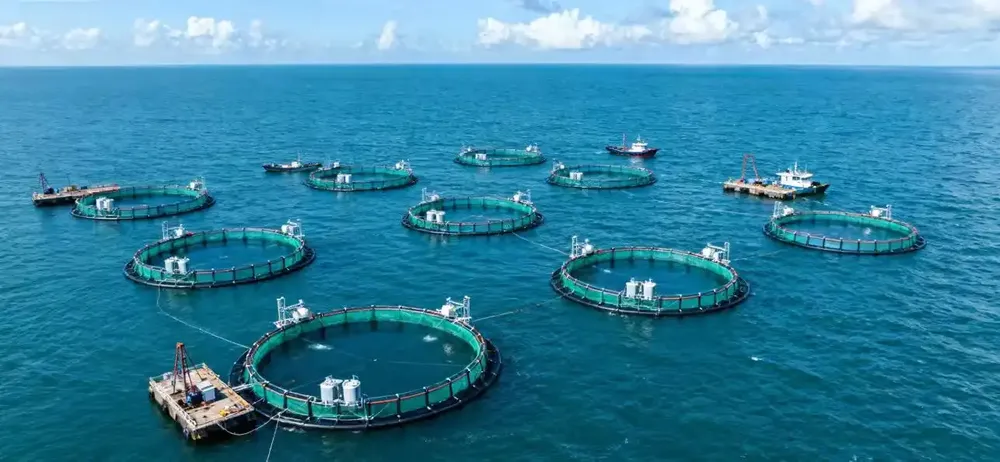 In marine aquaculture, is installation difficult, maintenance difficult, and expansion even more difficult