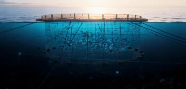 Modular fish cage structure with mooring system for open sea aquaculture and cage fish farming
