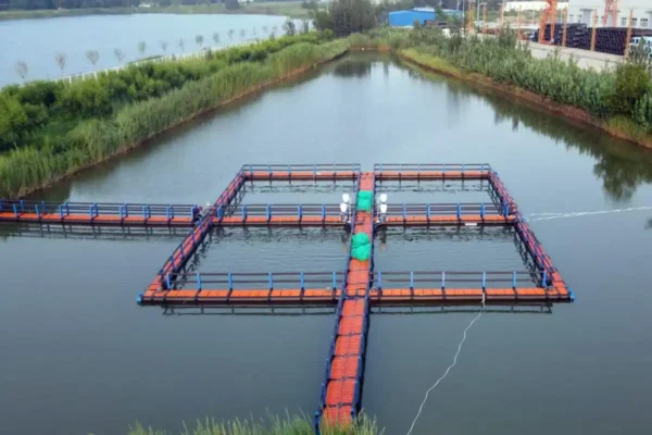 湖边近岸鱼笼筏式养殖