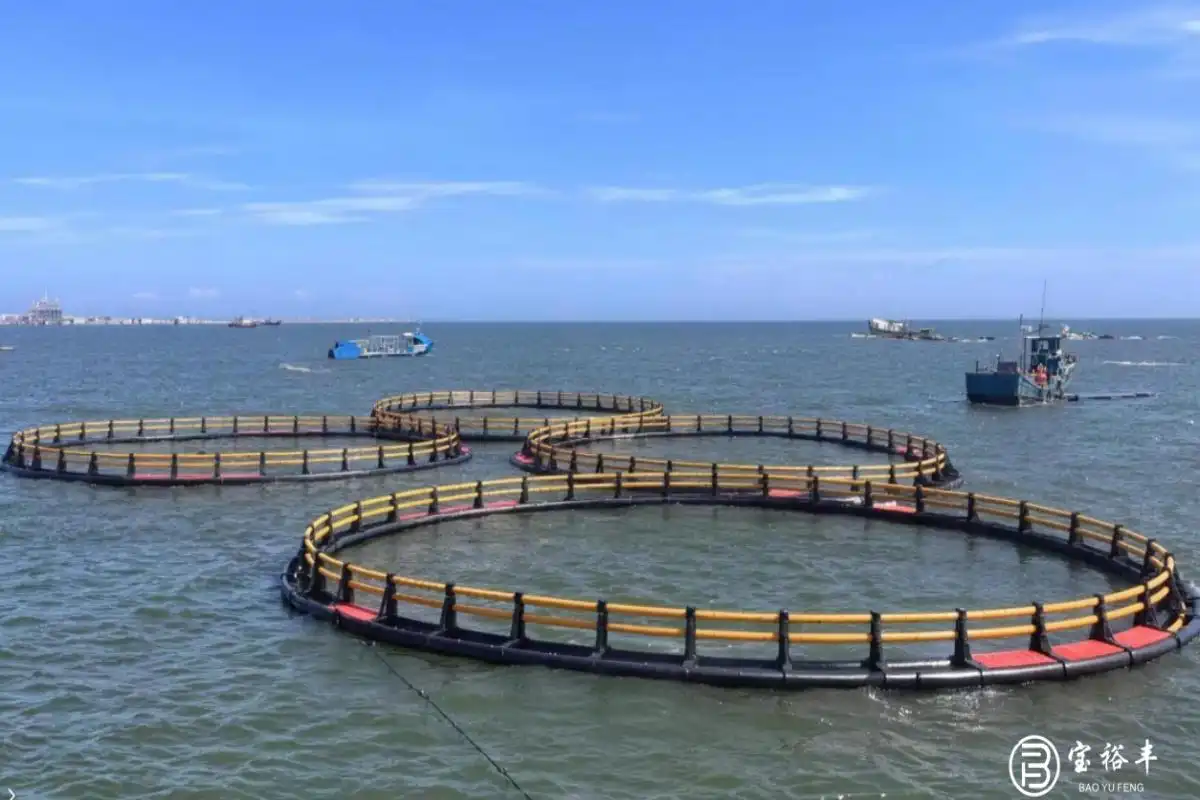 Fish cage farming with fish cages floating on the sea for aquaculture