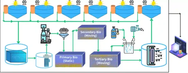 Recirculating Aquaculture System (RAS)