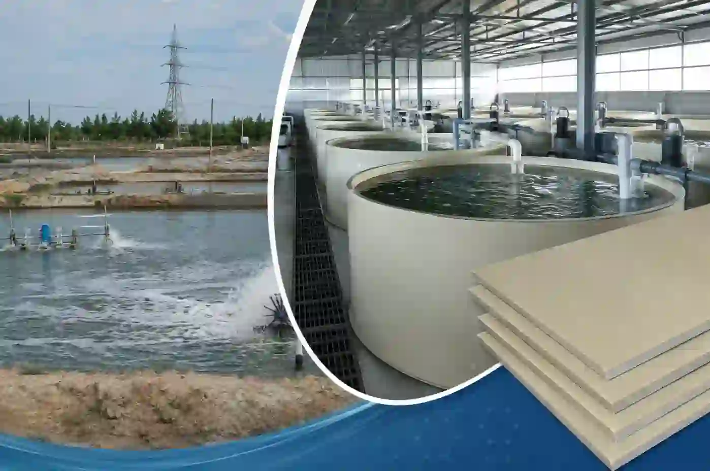 Traditional Ponds vs PP Fish Tank